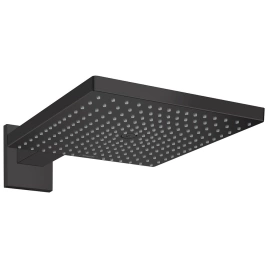 Лейка для верхнего душа Hansgrohe Raindance E 300 26238670