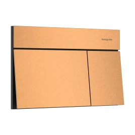 Панель смыва для инсталляции Hansgrohe iFrame Element E 66003140