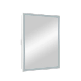 Зеркало-шкаф навесное Continent Allure 600х800