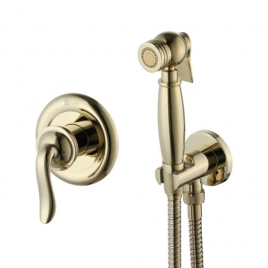 Смеситель с гигиеническим душем Lemark Brava LM4719G