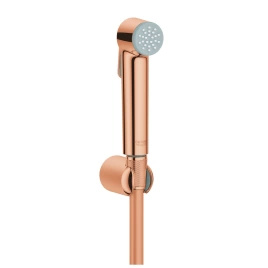 Лейка с гигиеническим душем Grohe Tempesta-F 27513DA1