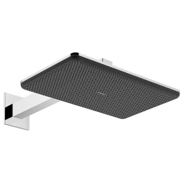 Лейка для верхнего душа Hansgrohe Raindance Alive Q 24550000