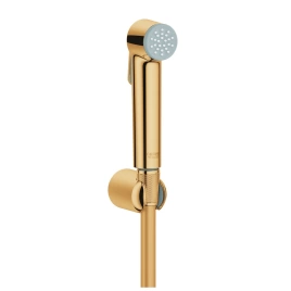 Лейка с гигиеническим душем Grohe Tempesta-F 27513GL1