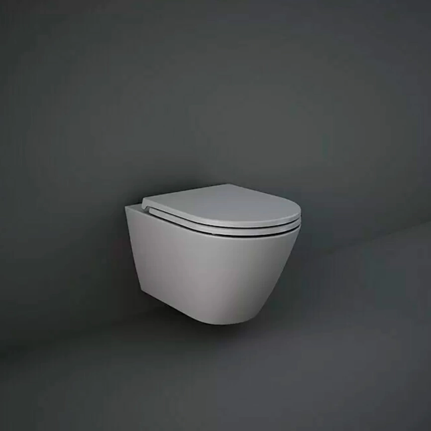 Унитаз подвесной безободковый Rak Ceramics Feeling RST23503A с сиденьем серый - фото 1