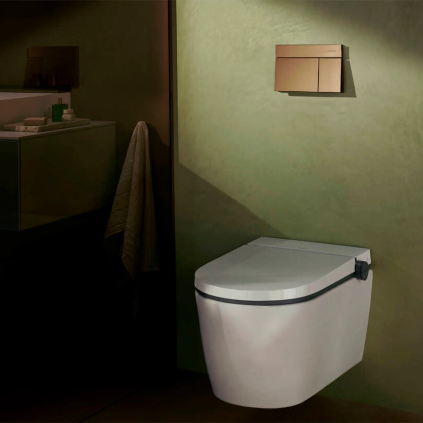 Панель смыва для инсталляции Hansgrohe iFrame Element E 66003140 бронза - фото 3