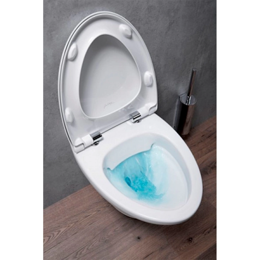 Унитаз подвесной Jacob Delafon Nouvelle Vague EDJ102-00 с сиденьем - фото 1