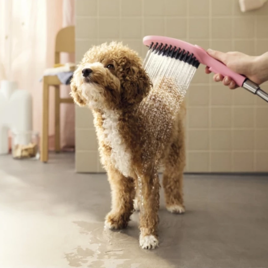 Душевая лейка Hansgrohe DogShower 150, 26640560, розовый - схема