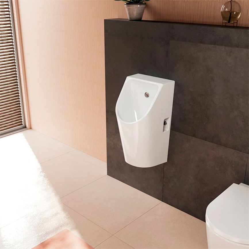 Писсуар настенный Hansgrohe EluPura Original S 60286450, с внутреннем подводом воды - фото 3