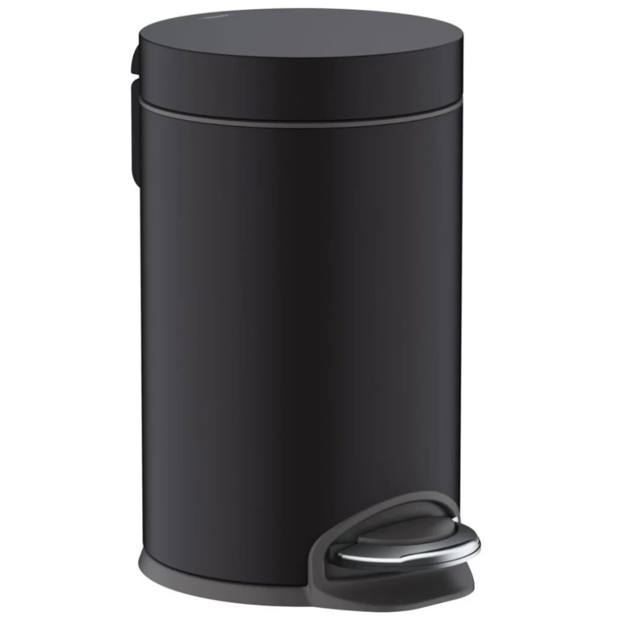 Мусорное ведро Hansgrohe AddStoris 41775670 черное
