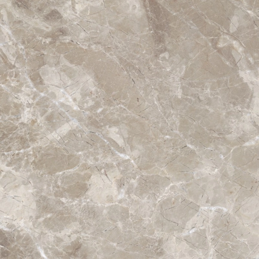 Керамогранит напольный глазурированный 60x60 ProGres Имперадор PR0063 серый светлый фото 7