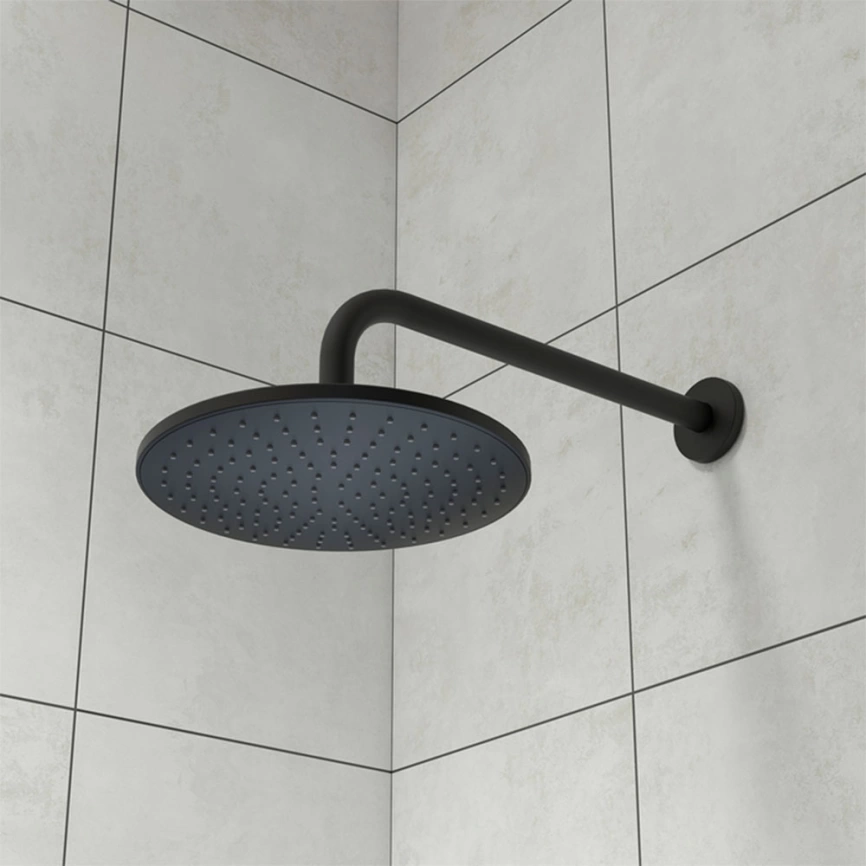 Лейка для верхнего душа Iddis Optima Home OPH22BRi64, чёрная - фото 2