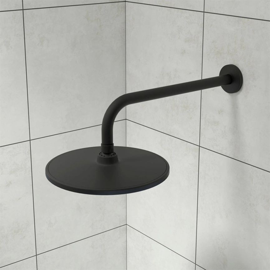 Лейка для верхнего душа Iddis Optima Home OPH22BRi64, чёрная - фото 3