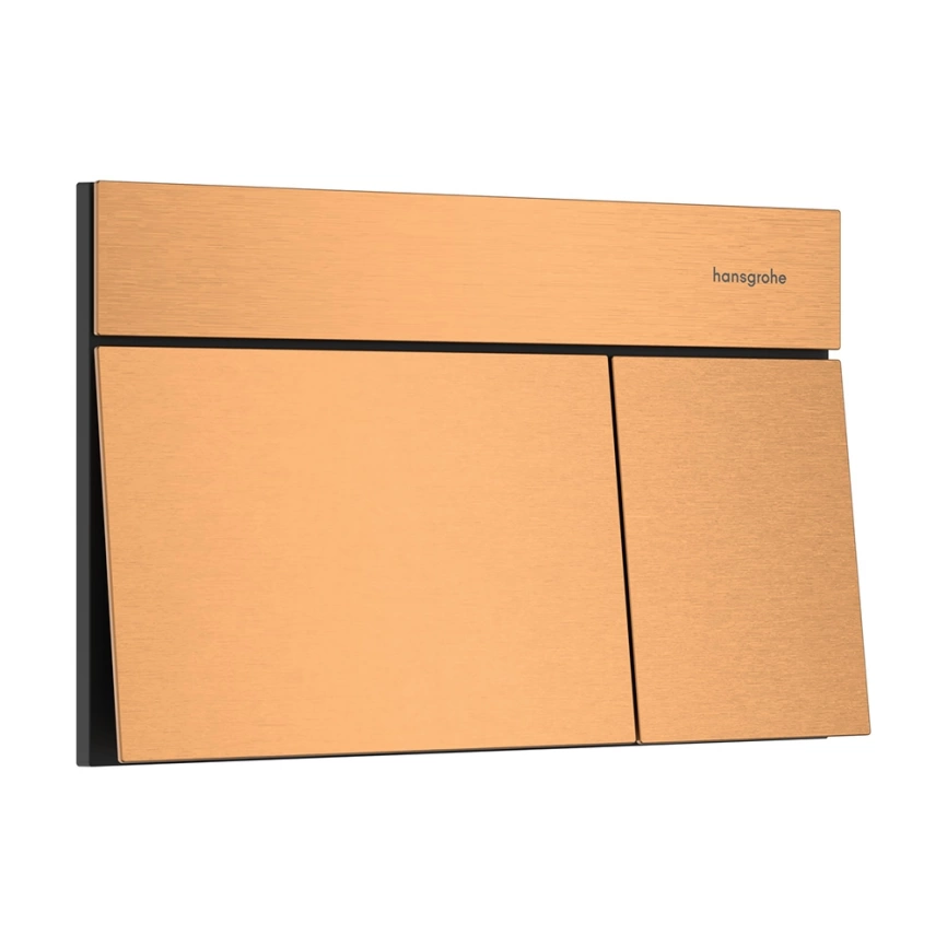 Панель смыва для инсталляции Hansgrohe iFrame Element E 66003140 бронза