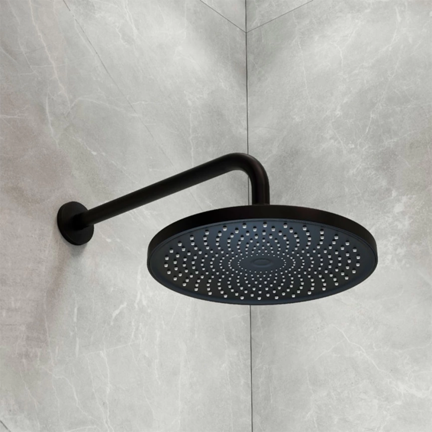 Лейка для верхнего душа Iddis Optima Home OPH25BPi64, черная - фото 3