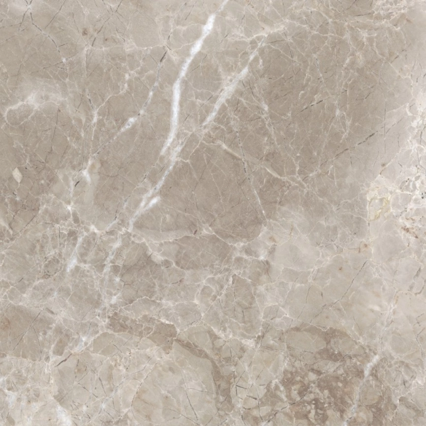 Керамогранит напольный глазурированный 60x60 ProGres Имперадор PR0063 серый светлый фото 3