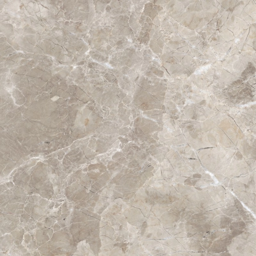 Керамогранит напольный глазурированный 60x60 ProGres Имперадор PR0063 серый светлый фото 6