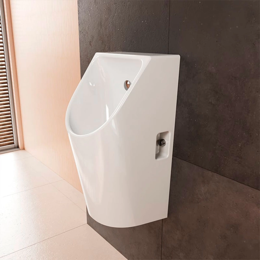 Писсуар настенный Hansgrohe EluPura Original S 60286450, с внутреннем подводом воды - фото 2