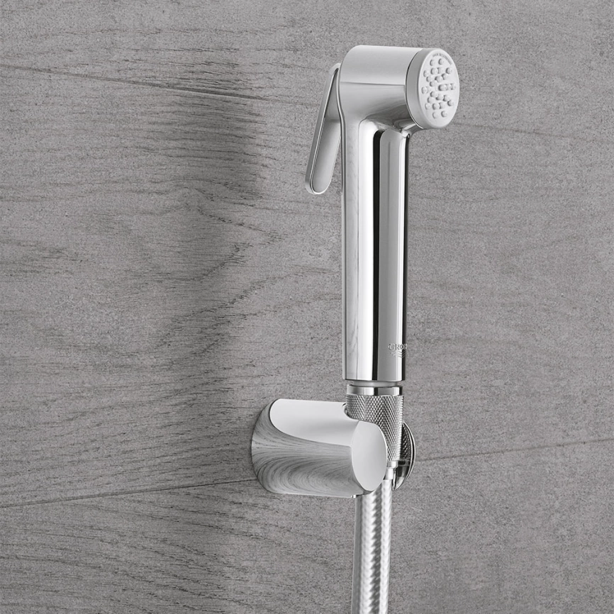 Лейка с гигиеническим душем Grohe Tempesta-F 27513001 настенным держателем и шлангом - фото 2