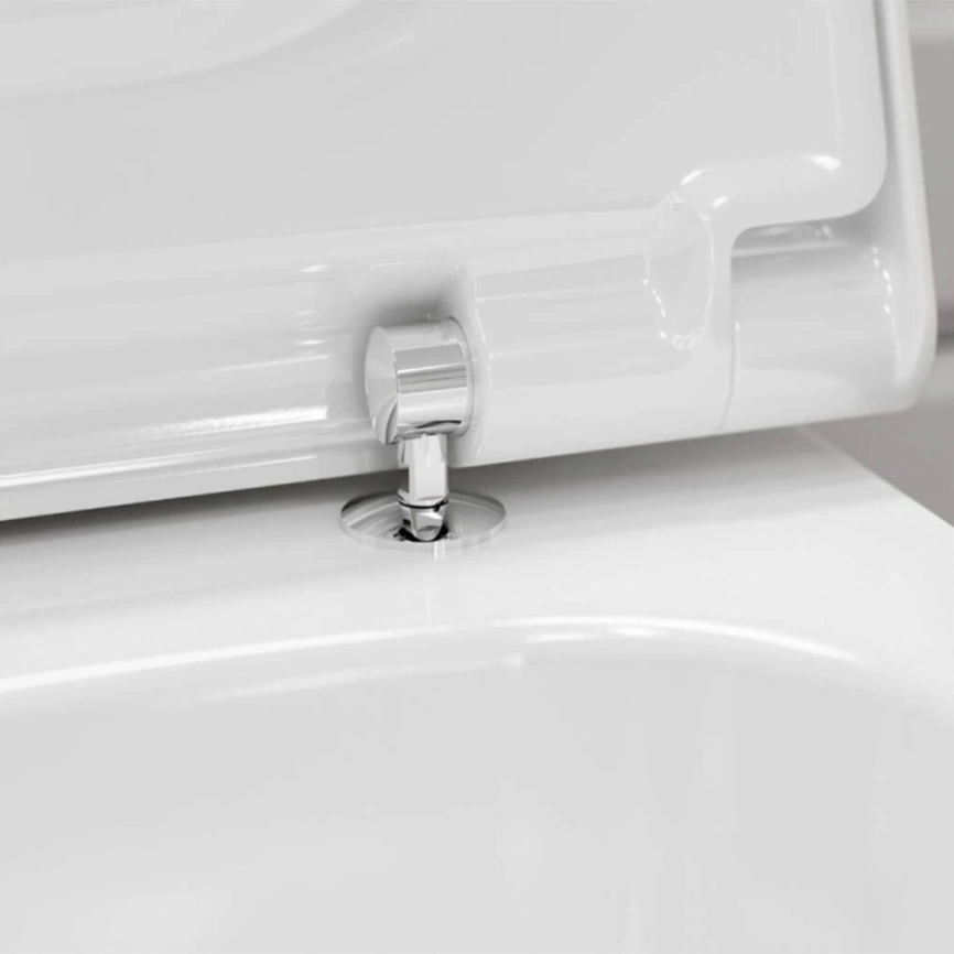 Сиденье для унитаза Hansgrohe EluPura Original Q 60150450 с микролифтом - фото 2