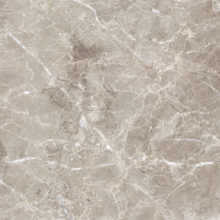 Керамогранит напольный глазурированный 60x60 ProGres Имперадор PR0063 серый светлый фото 5