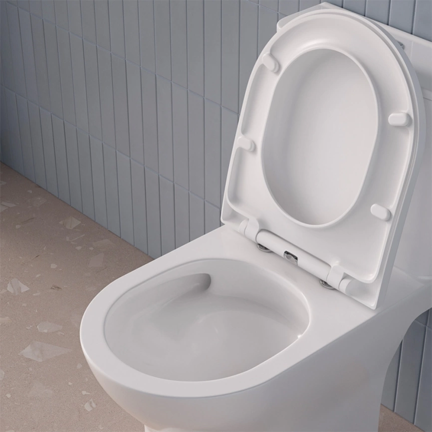 Унитаз компакт Iddis Zodiac ZODRDSEi24 безободковый с сиденьем - фото 14
