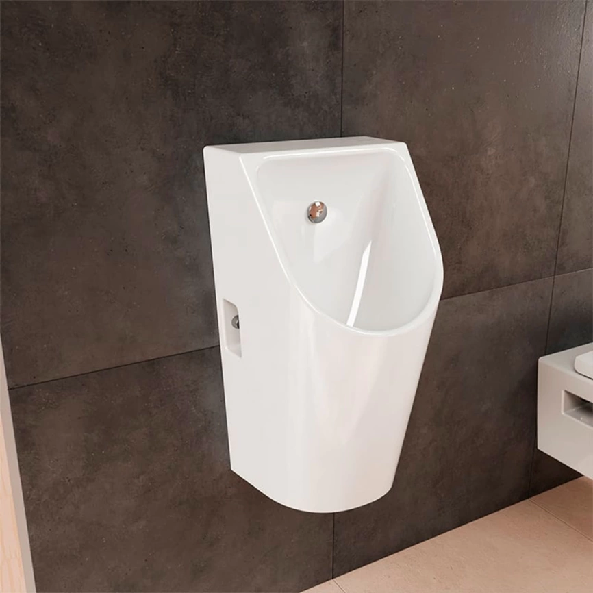 Писсуар настенный Hansgrohe EluPura Original S 60286450, с внутреннем подводом воды - фото 1