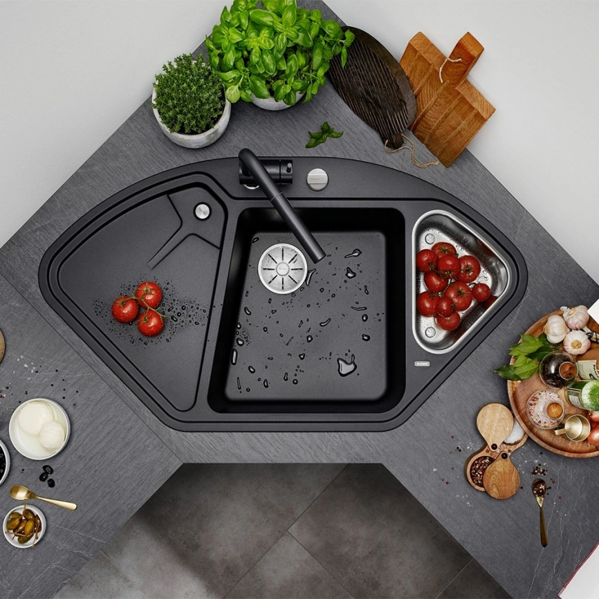 Мойка кухонная Blanco Delta II 525867 черная - фото 1