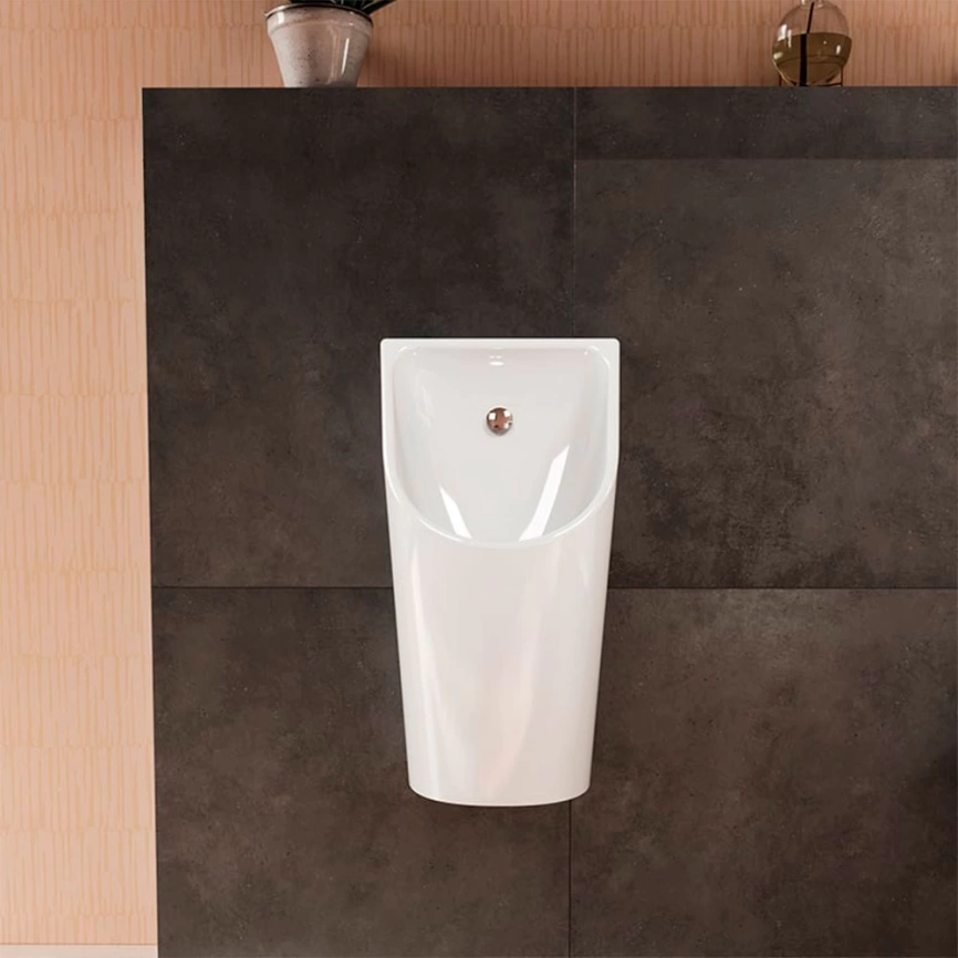 Писсуар настенный Hansgrohe EluPura Original S 60286450, с внутреннем подводом воды - фото 4