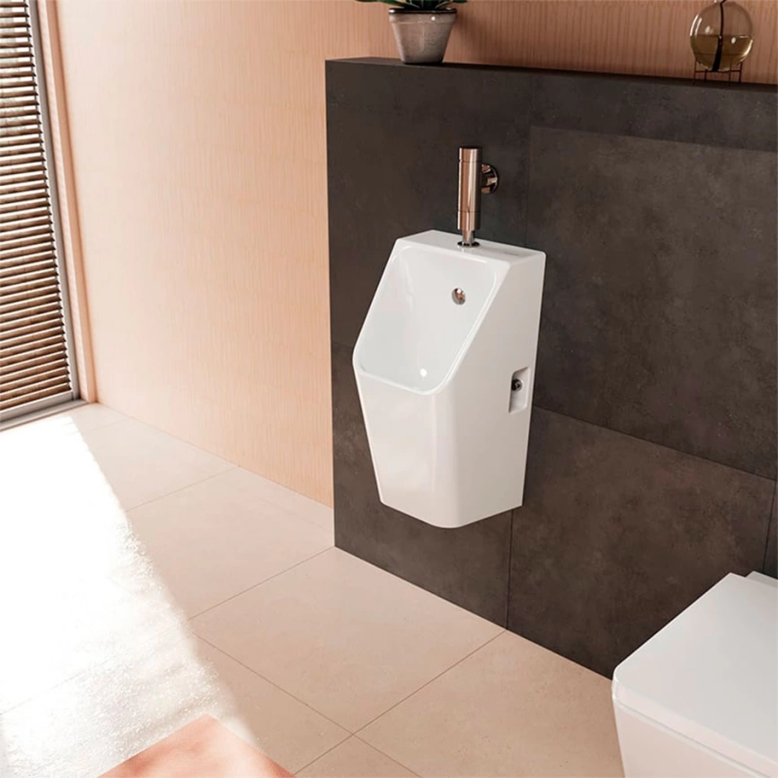 Писсуар настенный Hansgrohe EluPura Q 60128450, с наружным подводом воды - фото 5
